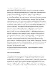 Nuo žaliavos iki prekinių naftos produktų 2 puslapis