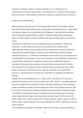 Nuo žaliavos iki prekinių naftos produktų 4 puslapis