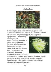 Narkotikai ir narkotikų rūšys 3 puslapis