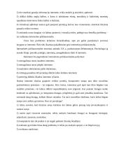 Naudojimosi kompiuteriu etiketas 5 puslapis