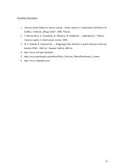 Neįgaliųjų slidinėjimo istorija 12 puslapis