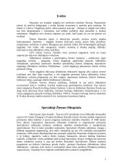 Neįgaliųjų slidinėjimo istorija 3 puslapis