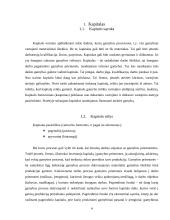 Nematerialusis kapitalas: intelektualinės nuosavybės aspektas 4 puslapis