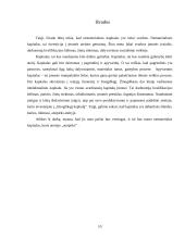 Nematerialusis kapitalas: intelektualinės nuosavybės aspektas 10 puslapis