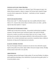 Norvegija ir jos gyventojai 4 puslapis