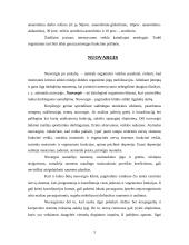 Nuovargis ir organizmo darbingumo atstatymo priemonės 4 puslapis