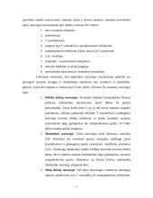Nuovargis ir organizmo darbingumo atstatymo priemonės 8 puslapis