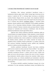 Nusikaltimas žmogiškumui. Hagos tribunolas 2 puslapis