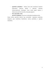 Nusikaltimas žmogiškumui. Hagos tribunolas 7 puslapis