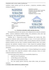 Nusikaltimo sudėtis: sąvoka, struktūra, klasifikavimas 8 puslapis