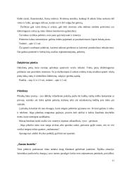 Oficialūs priėmimai 11 puslapis