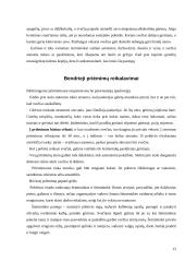 Oficialūs priėmimai 12 puslapis