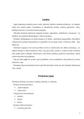 Oficialūs priėmimai 3 puslapis