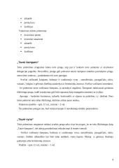 Oficialūs priėmimai 4 puslapis