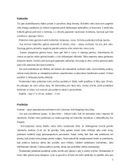 Oficialūs priėmimai 5 puslapis