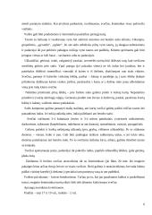 Oficialūs priėmimai 6 puslapis