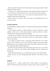 Oficialūs priėmimai 10 puslapis