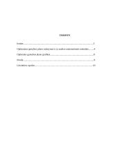 Optimalaus gamybos plano analizė matematiniais metodais 2 puslapis