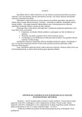 Optimalaus gamybos plano analizė matematiniais metodais 3 puslapis