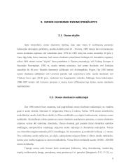 Ozono sluoksnio nykimo priežastys 5 puslapis