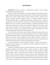 Pagrindinės šiuolaikinės ekonominės mokyklos 19 puslapis