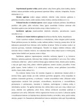 Papildomas ugdymas 11 puslapis