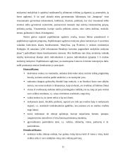 Papildomas ugdymas 13 puslapis