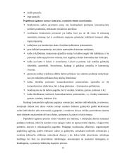 Papildomas ugdymas 15 puslapis