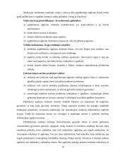 Papildomas ugdymas 16 puslapis