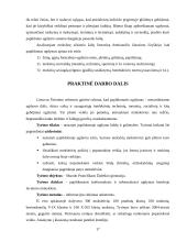 Papildomas ugdymas 17 puslapis