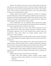 Papildomas ugdymas 6 puslapis