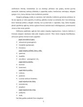 Papildomas ugdymas 9 puslapis