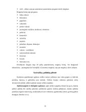 Papildomas ugdymas 10 puslapis