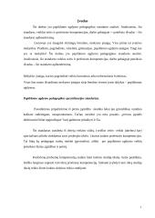 Papildomo ugdymo pedagogikos specializacijos standarto analizė 2 puslapis