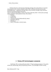 Parlay API protokolas 3 puslapis