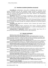 Parlay API protokolas 7 puslapis