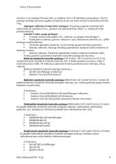 Parlay API protokolas 8 puslapis