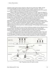 Parlay API protokolas 10 puslapis