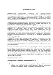 Pasipriešinimo neigiamam bendraamžių spaudimui įpročio ugdymas 4 puslapis