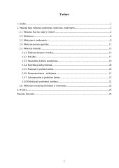 Paskaita kaip vyksmas 2 puslapis