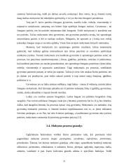 Paskaita kaip vyksmas 12 puslapis