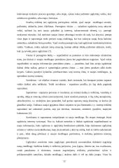 Paskaita kaip vyksmas 13 puslapis