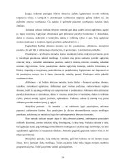 Paskaita kaip vyksmas 17 puslapis