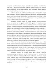 Paskaita kaip vyksmas 20 puslapis