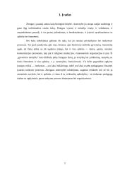 Paskaita kaip vyksmas 3 puslapis