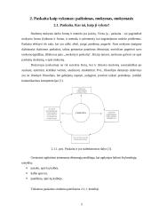 Paskaita kaip vyksmas 4 puslapis