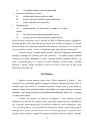 Paskaita kaip vyksmas 7 puslapis