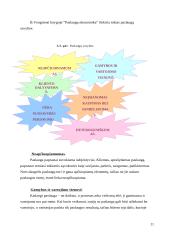 Paslaugos 11 puslapis