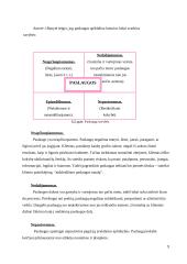 Paslaugos 9 puslapis