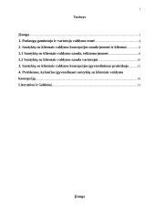 Paslaugų gamintojo ir vartotojo santykiai 2 puslapis